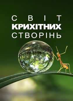 Крихітний світ